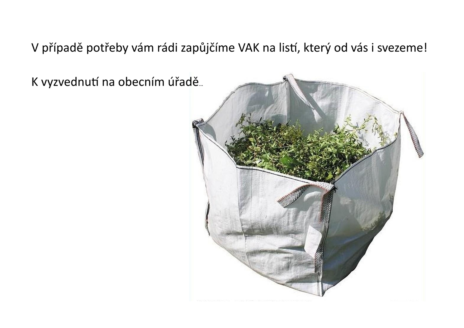 Vaky na listí-1.jpg